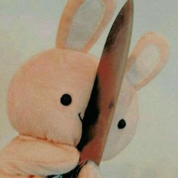 Meet your Posher, Bunny - Picture 1 of 1